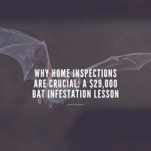 Why Home Inspections Are Crucial: A $29,000 Bat Infestation Lesson